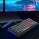 Игровая механическая клавиатура Kondor Orion серая TKL Hot-Swap RGB Roller Type-C Anti-Ghosting N-Key 2111394228 фото 9